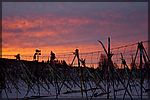 DSC05559.JPG