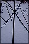 DSC05561.JPG