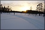 DSC05405.JPG