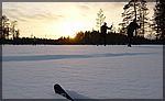 DSC05406crop.jpg