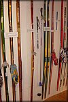 DSC05520.JPG