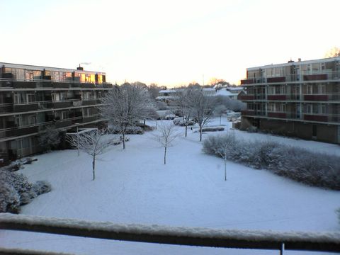 DSC00141.JPG