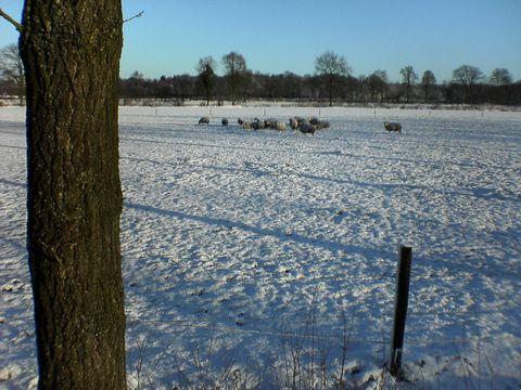 DSC00144.JPG