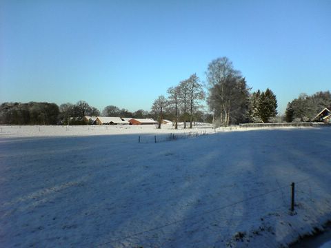 DSC00147.JPG