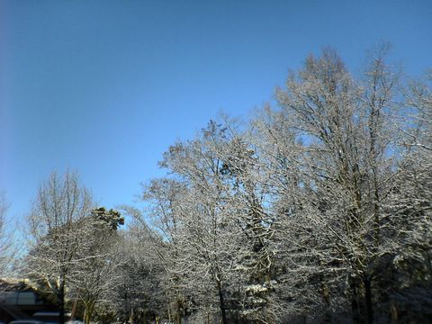 DSC00154.JPG