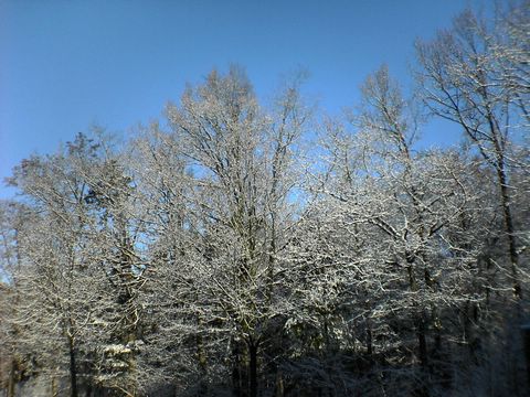 DSC00155.JPG