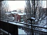 DSC00139.JPG