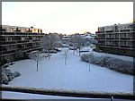 DSC00141.JPG