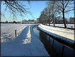DSC00142.JPG