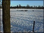 DSC00144.JPG