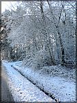 DSC00146.JPG