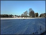 DSC00147.JPG