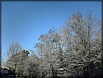 DSC00154.JPG