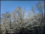 DSC00155.JPG