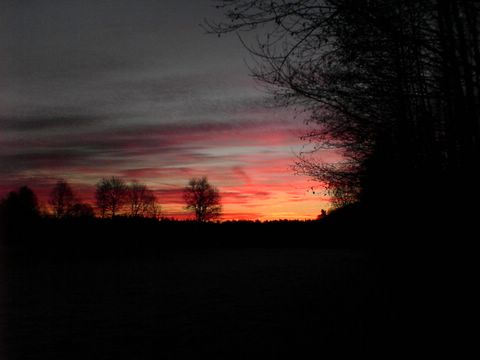 DSC00098.JPG