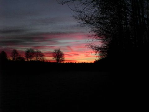 DSC00099.JPG
