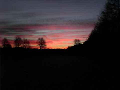 DSC00100.JPG