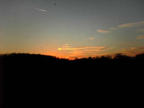 DSC00120.JPG