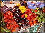 DSC04335.JPG