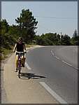 DSC04342.JPG