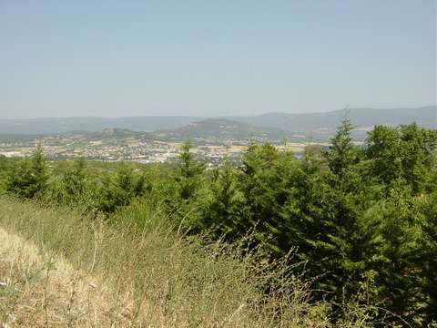 DSC04361.JPG