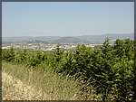DSC04361.JPG