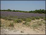 DSC04363.JPG