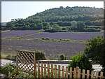 DSC04379.JPG