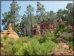 DSC04392.JPG