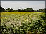 DSC04402.JPG