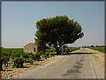DSC04434.JPG