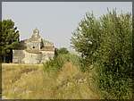 DSC04519.JPG