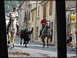 DSC04525.JPG