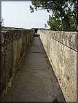 DSC04558.JPG