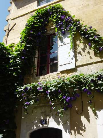 DSC04610.JPG