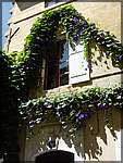DSC04610.JPG