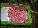 DSC04643.JPG