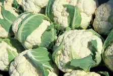 bloemkolen-cauliflower (6K)